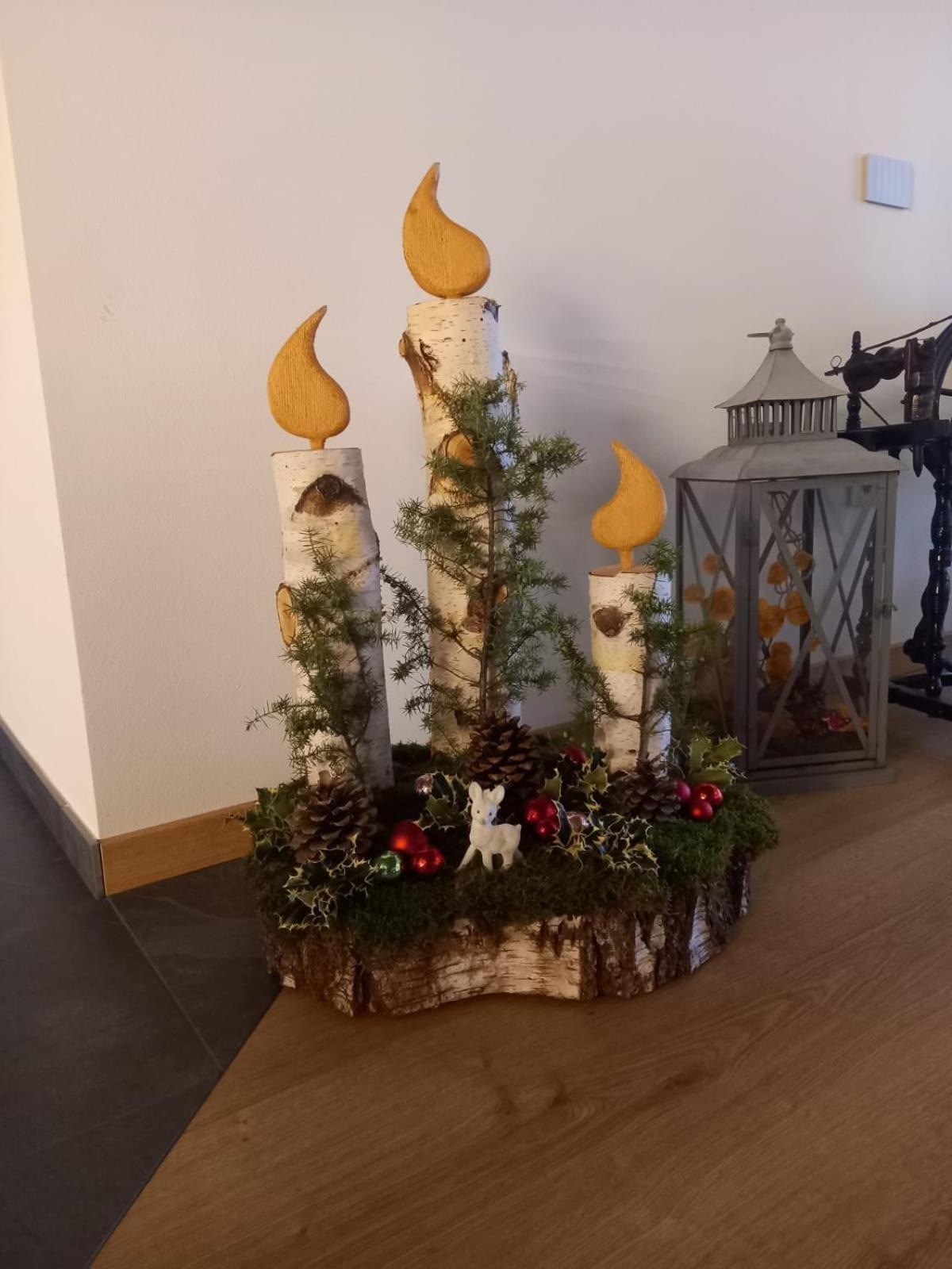 Le Rocce Val Di Non - Quality Room & Breakfast Tassullo المظهر الخارجي الصورة
